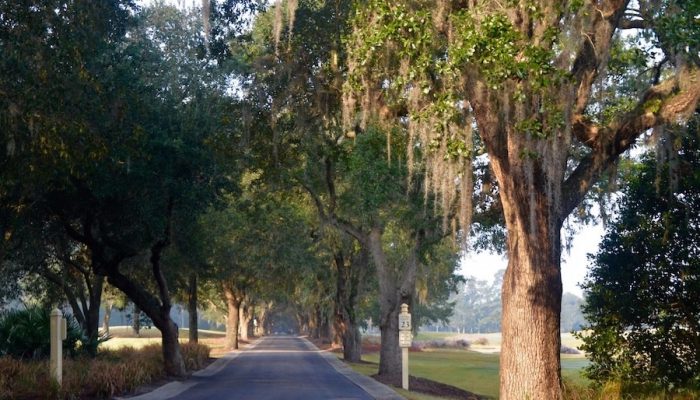 Golf Packages Caledonia Save